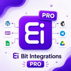 Jasa Install Bit Integrations Pro