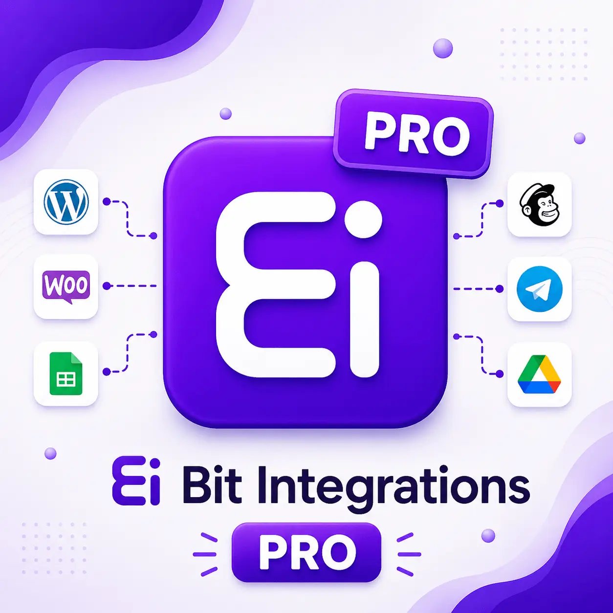 Jasa Install Bit Integrations Pro