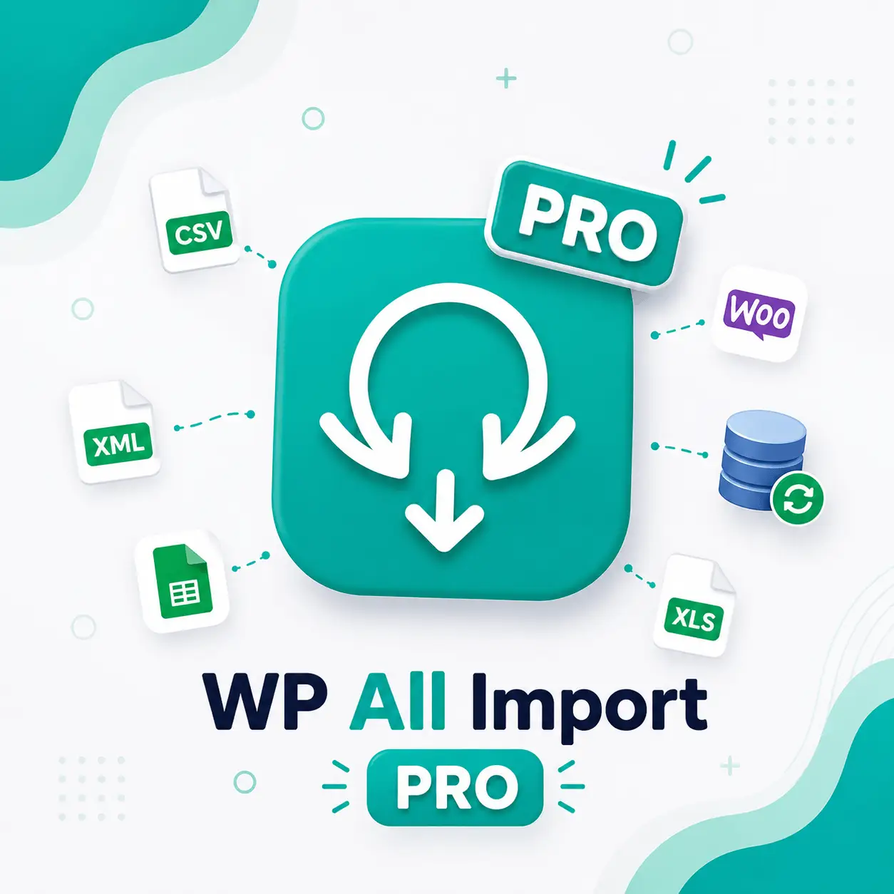 Jasa Install Wp All Import Pro
